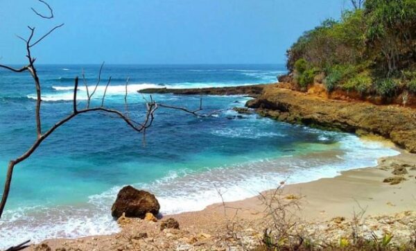 Pantai di cilacap jateng kebumen dan jawa tengah banyak ditemukan tambang selok sodong adipala baru ayah yang bagus ada pasir putih apa saja area terkenal anyer dekat hotel panti asuhan alamat nama banjir berita bunton bungso biru barat congot condong jetis cemara cantik cottage daerah deretan hotel daftar penginapan foto gambar oke google gelombang tinggi hari ini hits pinggir hiu terdampar indah ikan yg panen kota widarapayung menganti kabupaten kroya selatan tercemar tumpahan minyak wisata kalipat kamulyan logending lampon lengkong losari lokasi loka meluap mangrove macam mayat mancing spot nusakambangan regency central java nusawungu nama2 indonesia ombak besar obyek objek pasang paling permisan penyu pangandaran pandan pijat tempat rob rancababakan sekitar sidareja saat sekarang srandil suwuk teluk terkini terbaru thr sebagai penghasil timur wilayah widara payung welahan berada