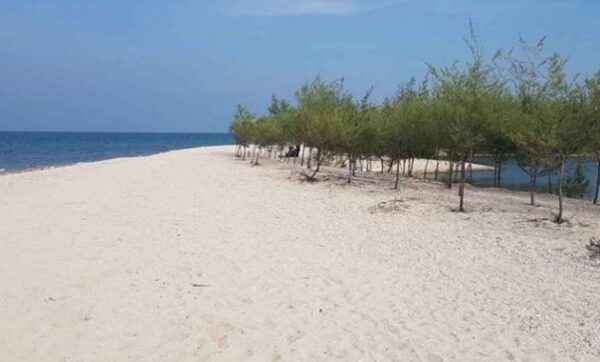 Pantai di tuban jawa timur yang indah dan lamongan remen apa saja bali daerah nama boom paling bagus wisata alamat area cemara asmoro qondi ada yg air terjun hotel 2021 pasir putih jatim regency east java 62352 caruban cantik ceria didi kempot dekat terminal delegan terindah foto gong gambar sowan ikan jenu tempat kota kabupaten kab tiban kendal kelapa kutang kute losari labuhan perbatasan laut lokasi letak malam hari mp3 mangrove mangruf marem map beti nglirip ngebum ngeboom daftar objek obyek palang pinggir jalan panyuran pantura rengel rembang restaurant sekitar surindah socorejo stockpile soang terbaru terbaik terbagus terdekat tasikharjo tambakboyo utara wilayah wali bong