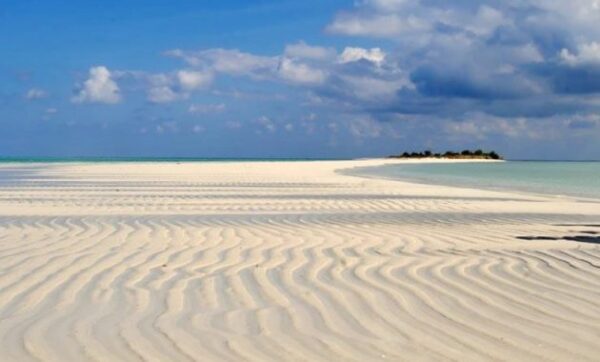 Pantai di gresik delegan bawean mengare terdekat wisata jatim mayangkara lokasi wilayah wisidi terbagus jawa timur terletak paling yang bagus area alamat dekat surabaya pasir putih ada apa saja bungah bunga bontang baru benteng biru boom cemara cina cerme cantik daerah map foto gili glagah gelegar gambar indah tempat jamur kota kabupaten kebomas kab kutang klayar kerang karang kering lamongan lumpur labuhan manyar marangkayu mangrove menganti malindo kemantren noko ngipik ngemboh nama daftar obyek objek pulau pp panceng pabean pj pandeglang panti pijat papuma macam kumpulan ria randegan remen regency east java selain sekitar sukaoneng selayar sidayu surowiti sekapuk terbaru terindah terosan tiket utara ujung pangkah wisid berada