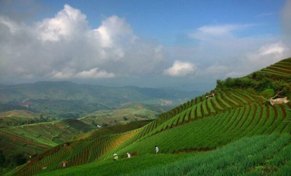 Tempat wisata di majalengka jabar terbaru 2021 paralayang menarik kebun teh cipasung taman bukit alam hejo curug tonjong forum daerah kab kabupaten kadipaten cikijing sekitar talaga jawa barat romantis indah terindah baru foto nama gambar alamat daftar air terjun panas yang ada kolam renang argapura