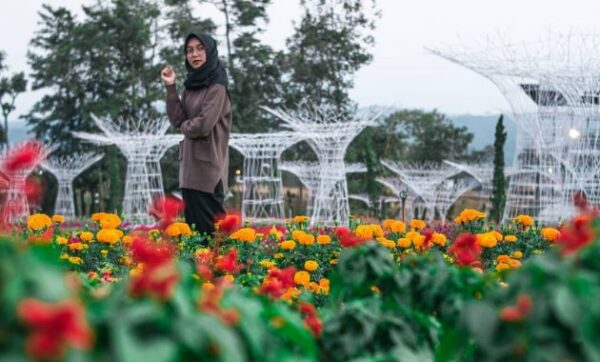 Taman bunga celosia bandungan semarang tiket masuk harga alamat 2021 tempat wisata simo hotel dekat lubuk linggau gedong songo palembang banyuwangi tuban bantul 3 aceh ambarawa amsterdam argoyasa gumiwang banjarnegara jawa tengah singkil adalah linggo asri happy and fun boyolali bukit makmur baubau bengkulu curup calang celosia.Com di dimana banda metro binjai farm foto fasilitas spot gemolong gambar htm instagram jati kulon kudus jl. Gedongsongo beroken candi yogyakarta jam buka jaya kemadang korea kuningan kabupaten gunungkidul kalijambe kartasura kota lampung lamandau lhong lokasi jalan menuju ke malam hari magelang merasi musi rawas medan kibang ngluwar nomor telepon