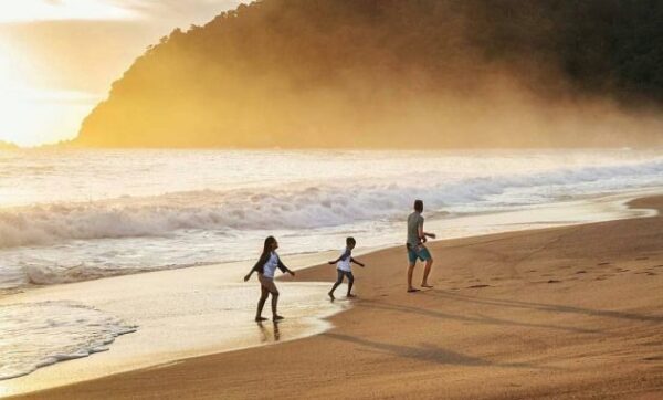 Pantai sukamade meru betiri national park banyuwangi kabupaten jawa timur jember homestay bwi 2010 wisata penyu penginapan di lokasi alamat foto letak deskripsi gambar htm jalur keindahan mess rute sejarah wisma harga tiket masuk akses menuju desa