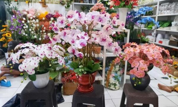 Toko bunga di cirebon kota murah plastik pot jalan medan mawar karangan alamat buket buat pacar daerah flanel florist hias sukalila sumber papan terdekat utara area alat asli bouquet bibit hand rosdelia timur daftar hidup harga jual kabupaten kalibaru lily no telepon penjual pelaminan rosemarie tangkai termurah tempat valentine